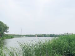 -大兴滨河森林公园