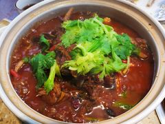 -先机泉水鸡汤(南山老君洞店)