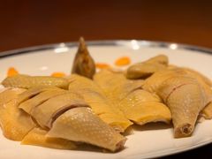 -广州富力君悦大酒店空中花园