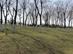 -洨河生态公园