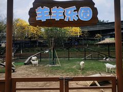 -盈香心动乐园