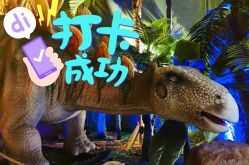 -恐龙探索乐园(磁器口店)