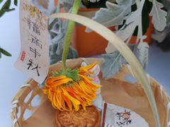 -利星行天竺之星汽车有限公司