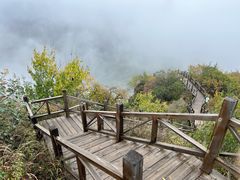 -大岭沟猕猴桃谷风景区
