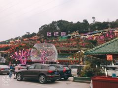 -枇杷园食为鲜火锅(南山店)