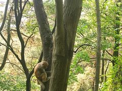 -黔灵山公园