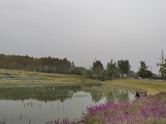 -两河城市森林公园