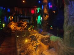 -乐山乌木文化博览苑