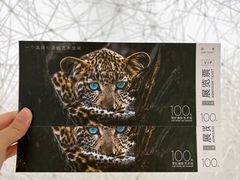 -罗红摄影艺术馆