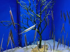 -多彩贵州城极地海洋世界