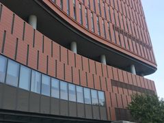 -中国宋庆龄青少年科技文化交流中心