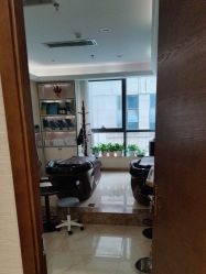 -碧莲盛·不剃发植发