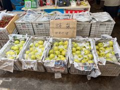 -双福水果批发市场