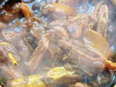 -霞姐屯昌枫木香草鸭店(海螺店)