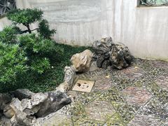 -巡塘古镇