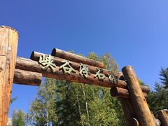 -峡谷浮石林景区