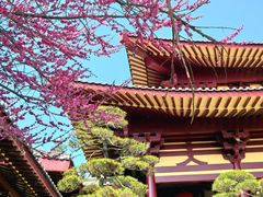-庐山风景名胜区-东林大佛