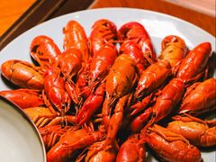 -郑州美盛喜来登大酒店