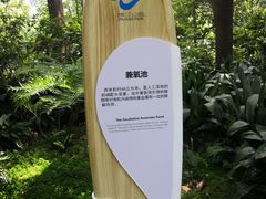 -成都市活水公园