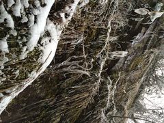 藏龙百瀑-藏龙百瀑风景区