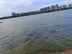 -顺峰山公园