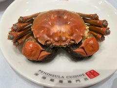 -半岛渔港 • 阿翁火锅馆(将军澳广场店)