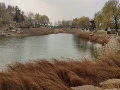 -莫子山公园