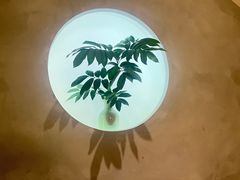 -本处·素食·融合料理(南油店)