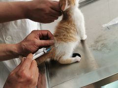 -畜牧兽医站(共江路店)