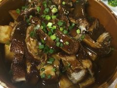 -鸽王世家(东华东路店)