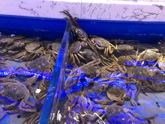 螃蟹-澜悦港海鲜体验主题餐厅
