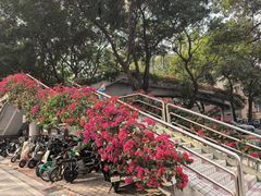 -广州白马服装市场