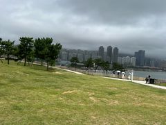 -小麦岛公园