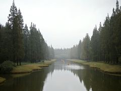 -黄海国家森林公园