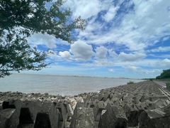 -上海滨江森林公园