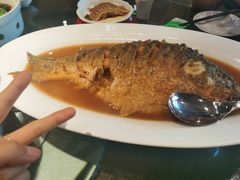 红烧黄河大鲤鱼-阿庄新豫菜(通泰路店)