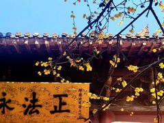 -洛阳白马寺