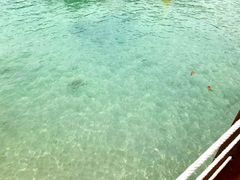 -东姑阿都拉曼海洋公园