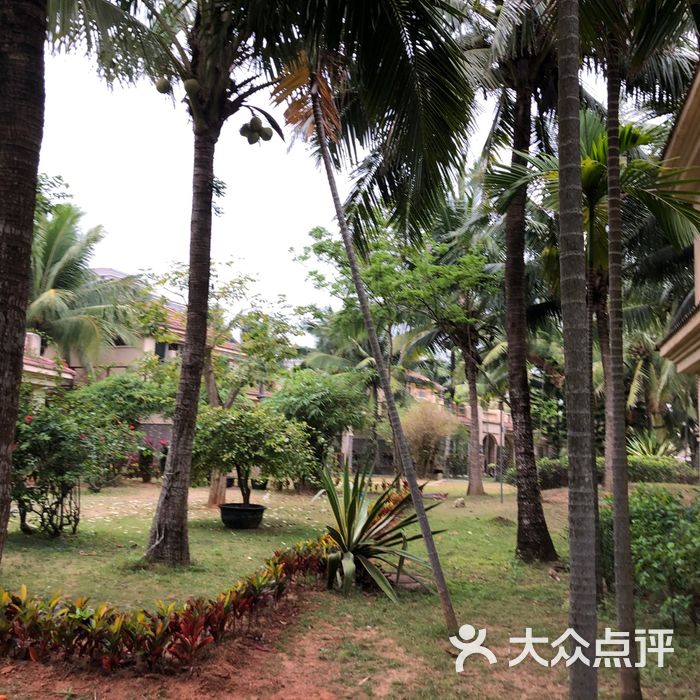琼海博鳌海岛森林酒店