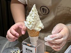 -野人先生Gelato(上海长宁龙之梦店)