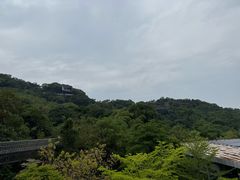-福道