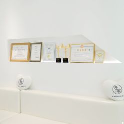 -臣丽纹眉品牌连锁
