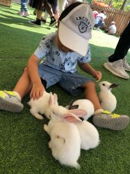 -萌宠亲子动物乐园(槐房万达店)