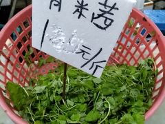 -陇南批发市场