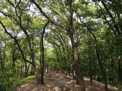 -襄阳烈士陵园(襄城区)