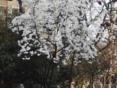 -燕儿岛山公园
