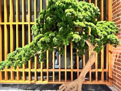 -囍榷·鲜美常州菜(恐龙园店)