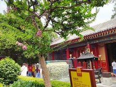 -西安市广仁寺