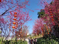 -牛岗山公园