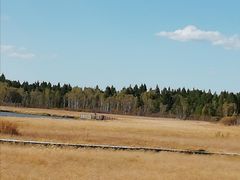 -塞罕坝国家级自然保护区